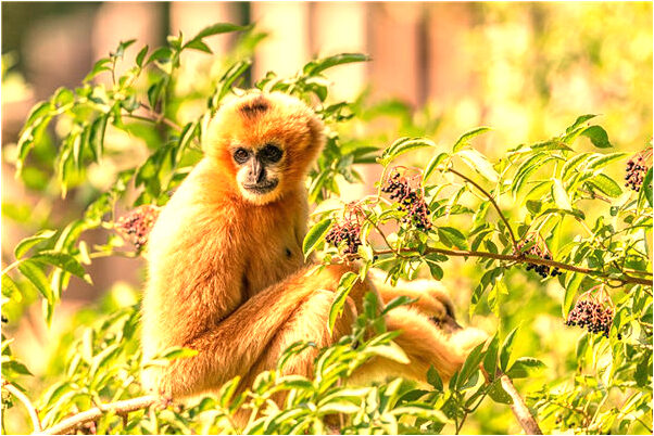 夢見上廁所被女人看見會是什麼預兆_周公解夢官網