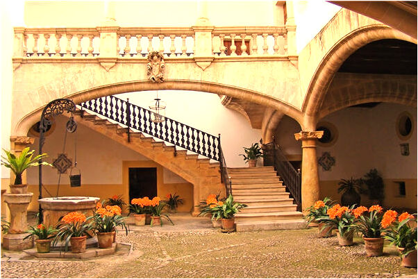 夢到懷孕上廁所結出大蘿蔔怎么樣_周公解夢官網