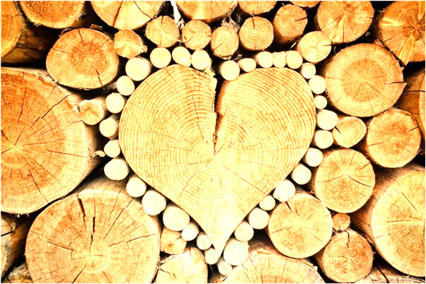 夢到了老奶奶拿走我的手機意味什麼_周公解夢官網