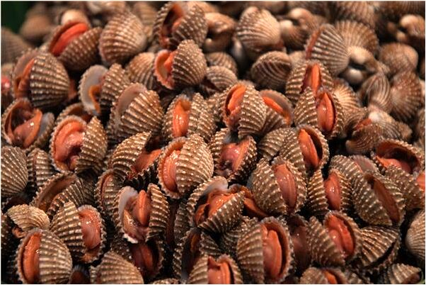 夢見已故的爺爺在家裡是什麼徵兆_周公解夢官網