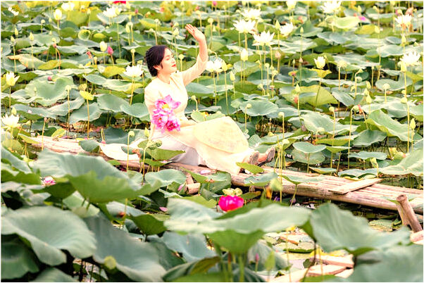 夢到恐龍吃蜥蠍預示什麼_周公解夢官網