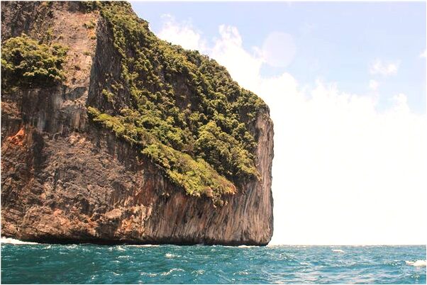 夢到骷髏長蟲子掉在自己身上預示什麼_周公解夢官網