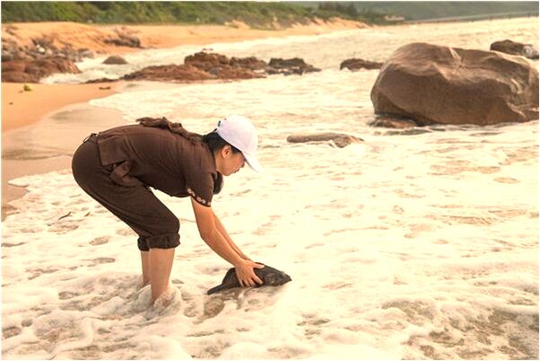 夢到追同學地面下陷怎么說_周公解夢官網