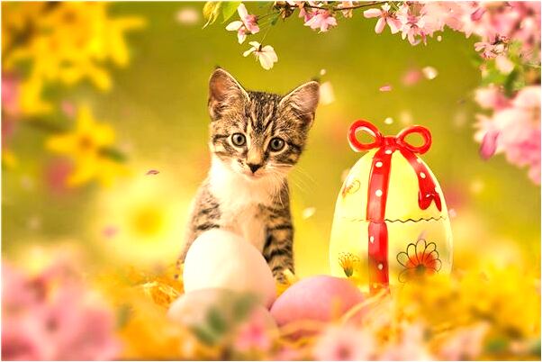 夢到了對媽媽切斯底里的吼叫代表著什麼？_周公解夢官網