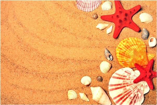 夢見下了一點小雨什麼預兆_周公解夢官網