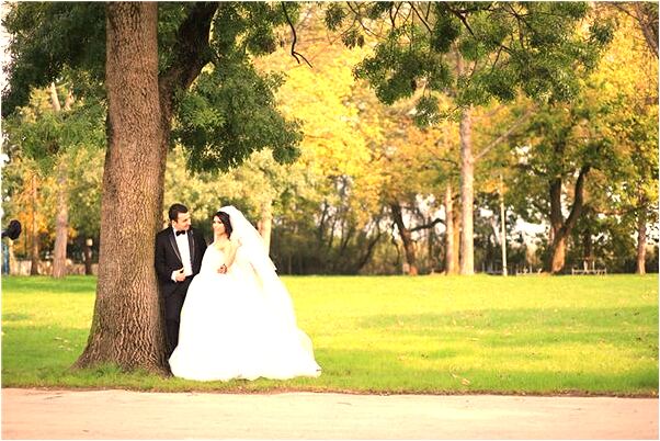 夢見回老家抓到了蛇有什麼寓意嗎_周公解夢官網