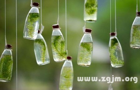 12星座人生中最快樂事是什麼_十二星座