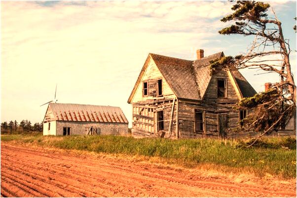夢到了車掉縫裡代表著什麼?_周公解夢官網