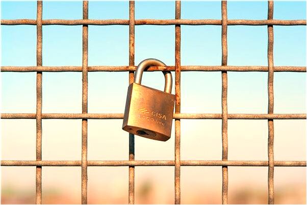 夢見身種蛇毒是怎么回事_周公解夢官網