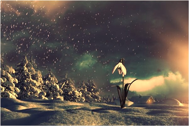 夢到老婆陰道出血是不是好的徵兆呢_周公解夢官網