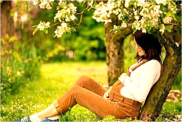 夢見夢離婚有什麼預兆_周公解夢官網