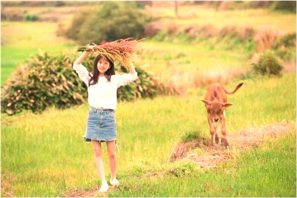 夢到在廟裡被人迷暈是什麼兆頭_周公解夢官網