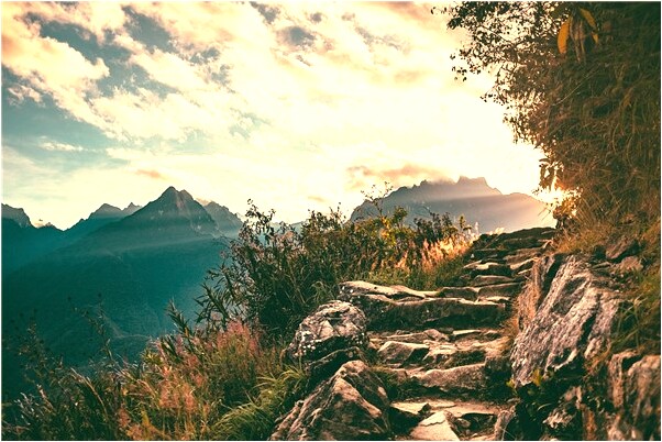 夢見自己自頭髮是什麼兆頭_周公解夢官網