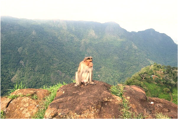 夢見嘴裡突出肉好不好_周公解夢官網