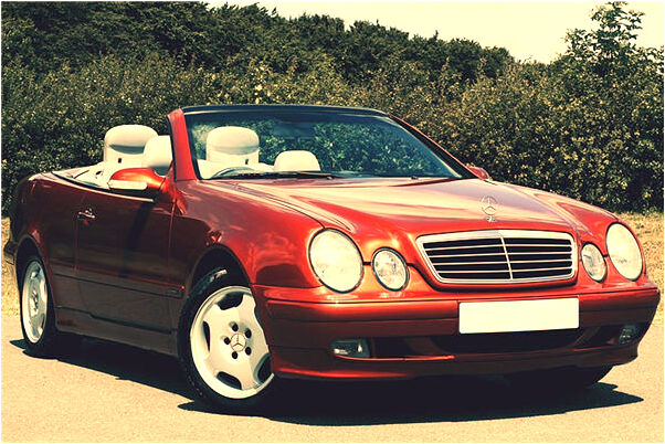 夢到被動物追著咬什麼寓意_周公解夢官網