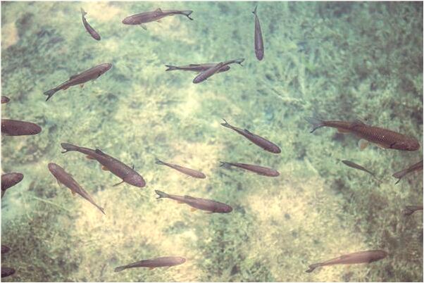 夢見和女朋友一起失去對方有什麼預示嗎_周公解夢官網