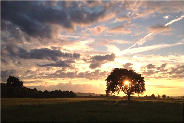 夢見腳心破了條口子是啥預兆_周公解夢官網