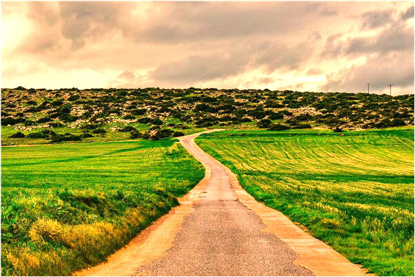 夢到了捉鰱魚有何寓意_周公解夢官網