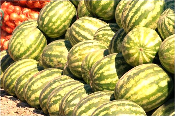 夢到了摘黃皮果吃有什麼預示嗎_周公解夢官網