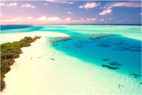 夢見教徒弟幹活是什麼兆頭_周公解夢官網