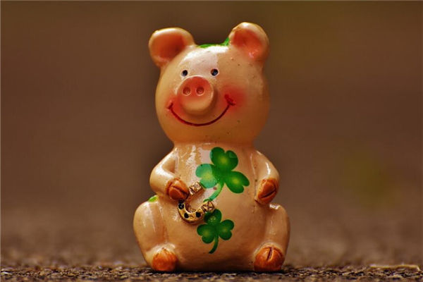 生肖豬2021年多大年齡了_十二生肖