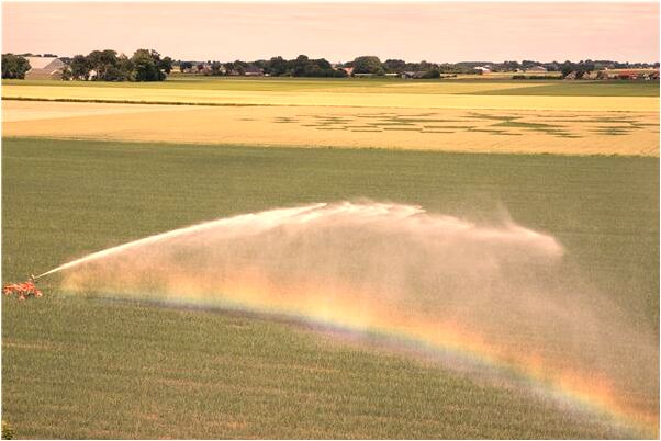 夢到殺豬見血拿豬身上東西意味什麼_周公解夢官網