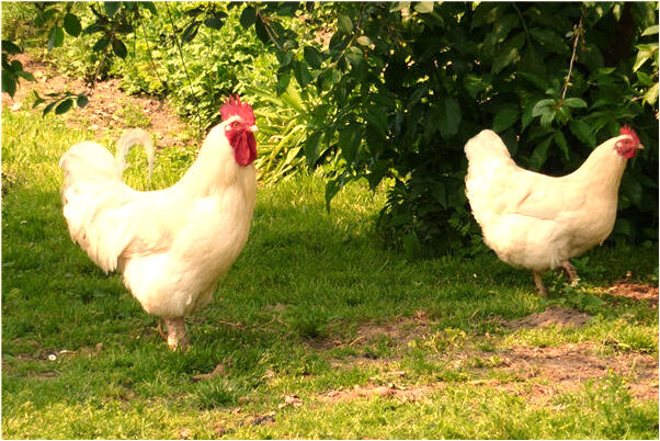 夢到了女人別的男人是好的徵兆嗎_周公解夢官網