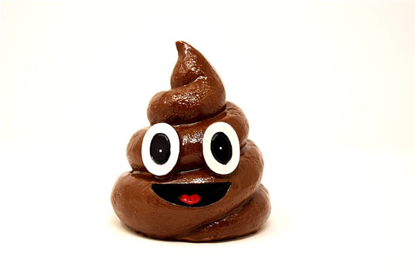 夢到沾屎是啥意思_周公解夢