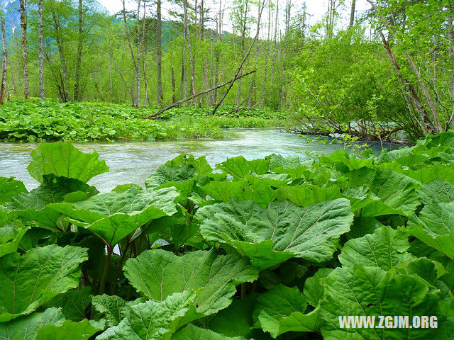 夢見計程車_周公解夢夢到計程車是什麼意思_做夢夢見計程車好不好_周公解夢官網