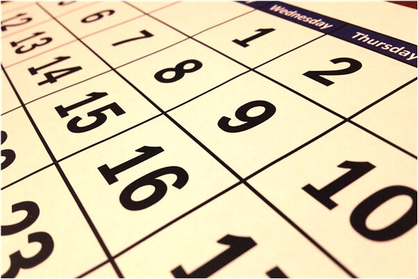 夢見家裡進了綠毛龜的預兆_周公解夢官網