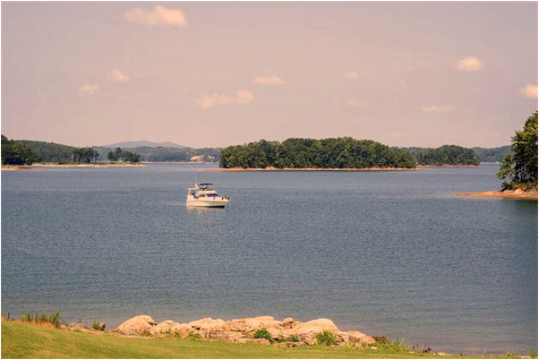 夢到了養的魚死後又被救活會是什麼預兆_周公解夢官網