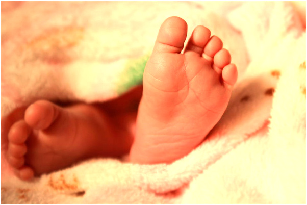 夢到被龍追著求婚是什麼意思_周公解夢官網