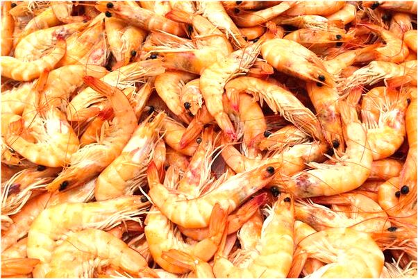 夢到了自己和親人游泳有險情怎么說_周公解夢官網