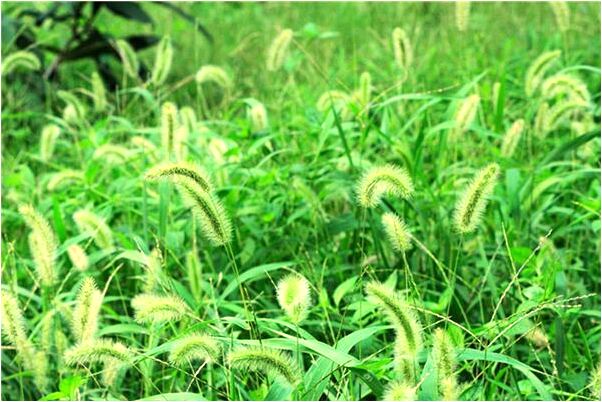 夢見我給別人吃糖預示著什麼_周公解夢官網