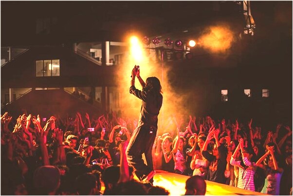 夢到養狼狼跟溫順有什麼意思嗎_周公解夢官網