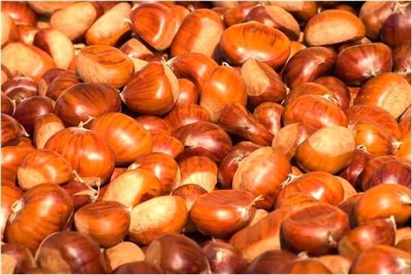 夢到朋友的背叛是什麼預兆_周公解夢官網