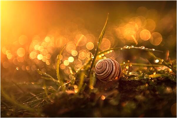 夢到了開車途中輪胎壞了的預兆_周公解夢官網