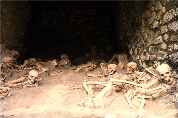 夢到早市商販很少預示什麼_周公解夢官網