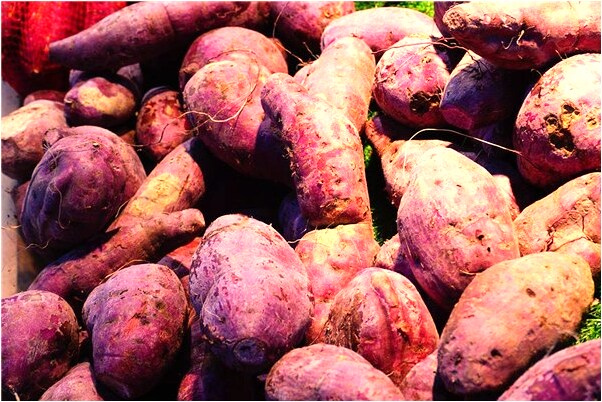 夢到自己離家預示著什麼_周公解夢官網