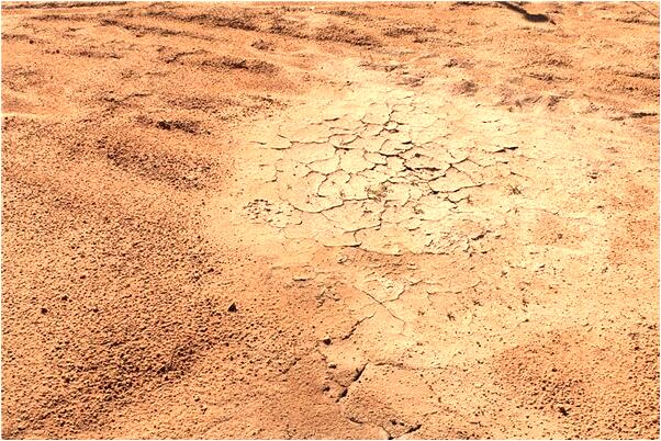 夢到了有人被扒皮是什麼意思_周公解夢官網