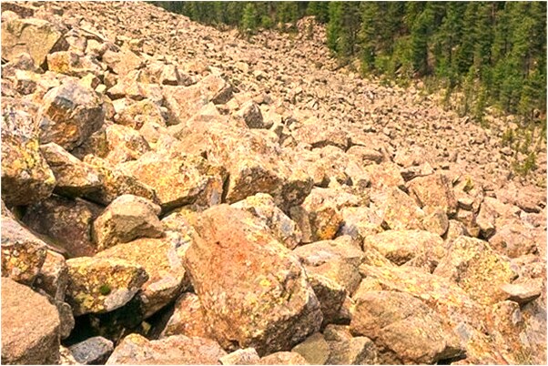 夢見自已抓大糞有什麼意義嗎_周公解夢官網