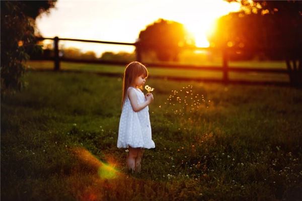夢見別人家的小女孩兒_周公解夢