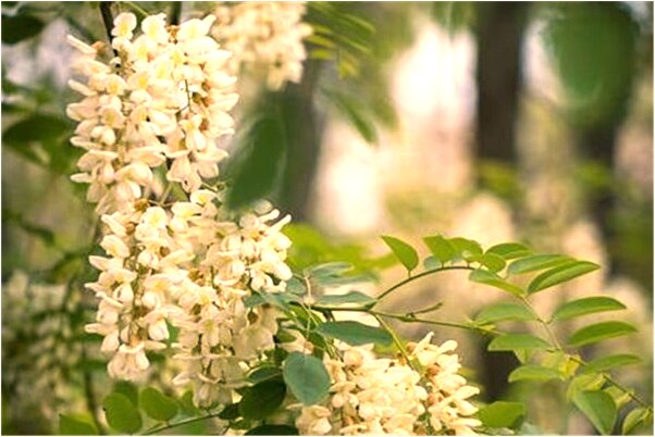 夢到我老公和別的女人有了身孕有什麼意義嗎_周公解夢官網