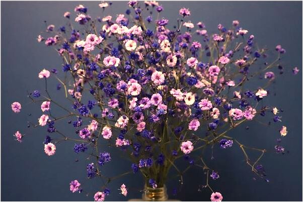 夢見一坨屎代表什麼_周公解夢官網