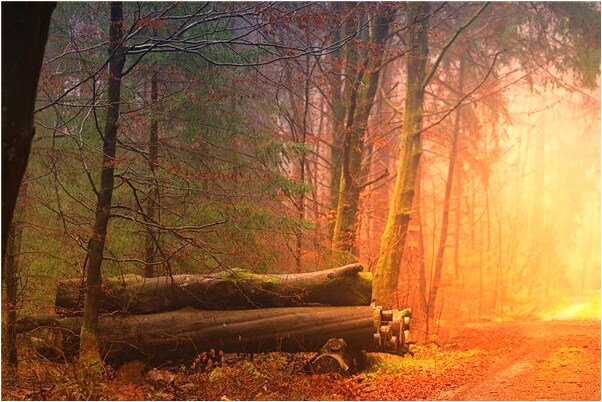 夢到和好多人住在一個屋裡怎么回事_周公解夢官網