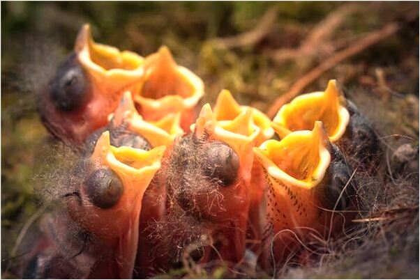 夢到了牙石脫落預示什麼_周公解夢官網