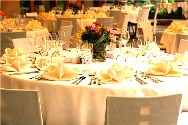 夢到了給動物洗澡是咋回事_周公解夢官網