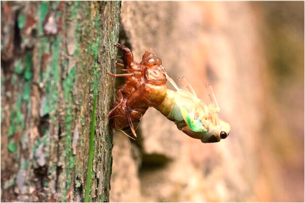 夢到很多人幫自己抗椅子是什麼意思_周公解夢官網