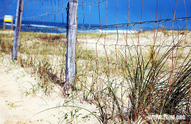 夢見死人壓我身上_周公解夢夢到死人壓我身上是什麼意思_做夢夢見死人壓我身上好不好_周公解夢官網