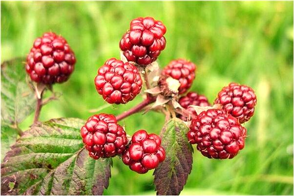 夢見鬼小孩躺床上代表著什麼？_周公解夢官網